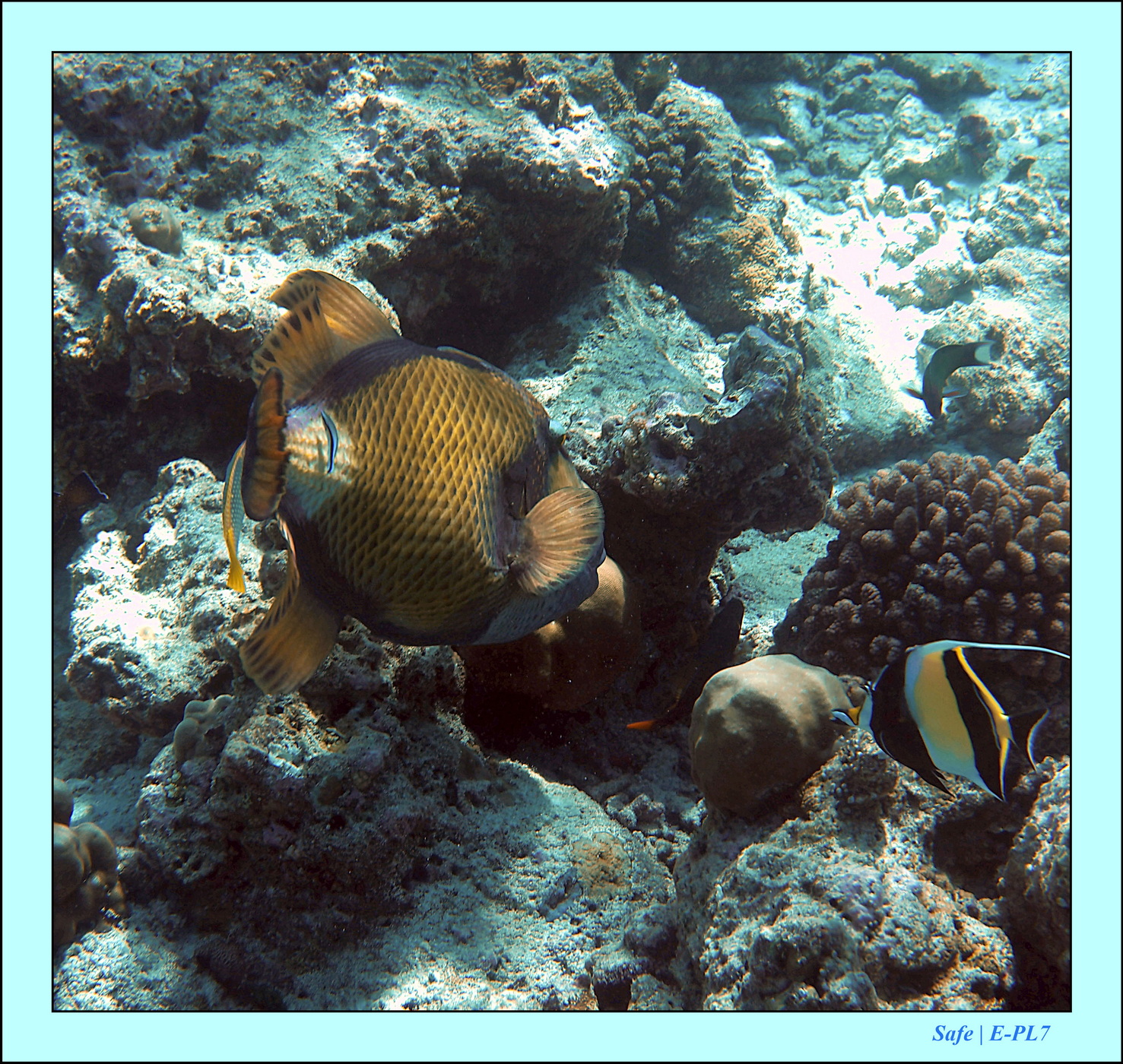 2023 - 07 - Sandies Bathala - 162